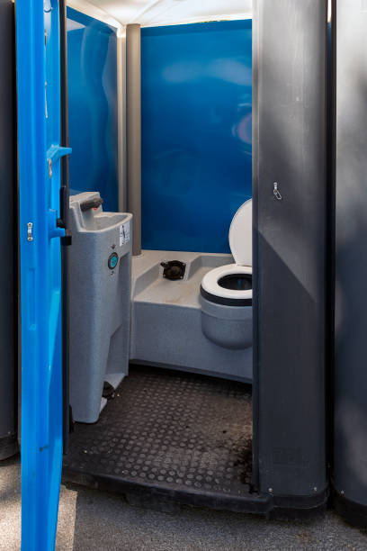 Best Porta potty rental for parties  in Mills River, NC
