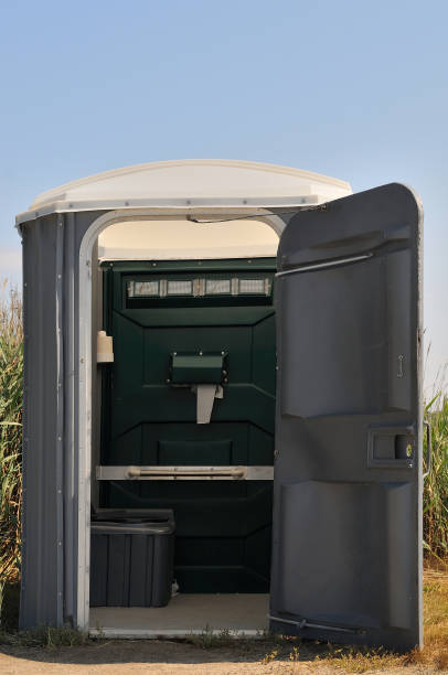 Best Local porta potty services  in Mills River, NC